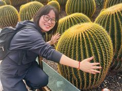 -北京植物园-展览温室
