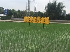 -迪茵湖田家舍生态农场