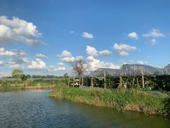 -马陆小张葡萄园农家乐