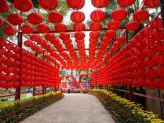 -揭东万竹园旅游景区