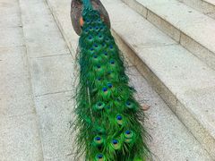 -西昌邛海宾馆