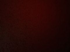 -巢爷老味(东方红店)