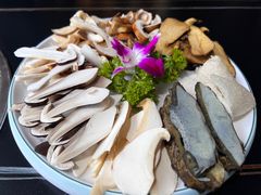 -野菌皇海景野生菌火锅(滨海大道店)