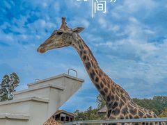 -黄龙溪欢乐田园