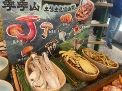 当季野生菌-季季山·云南野生菌火锅(上海首店)