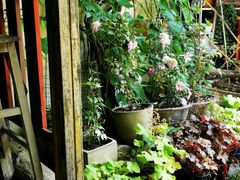 -斯多格书乡(北京大学畅春园店)