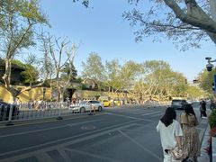 -南京中国近代史遗址博物馆(南京总统府)