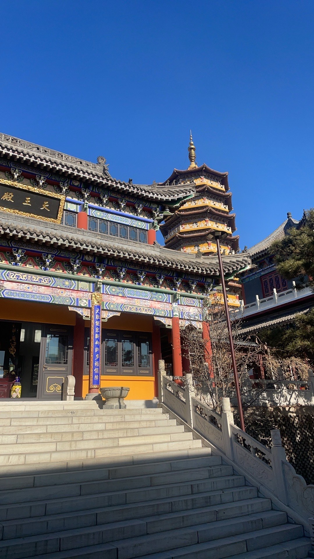 心向神灵,一段新的旅程