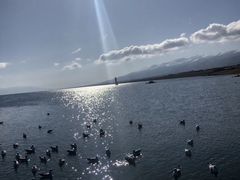 -青海湖国家重点风景名胜区