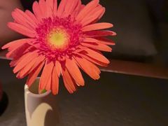 -晓长安·新陕菜(曲江店)