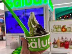 -Salud撒露欧洲冻酸奶(五道口购物中心店)