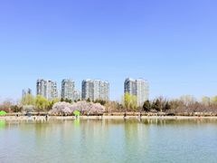 -太阳宫公园