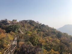 -大岭沟猕猴桃谷风景区