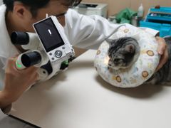 -谐和贝康宠物医院24小时·宠保定点(急重症转诊中心)