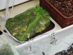 -汪记鲜鱼糊汤粉(沈阳路总店)