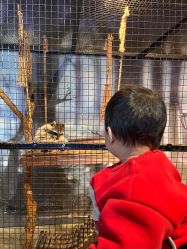 -酷嗒动物文化乐园(cutezoo西溪乐天城店)