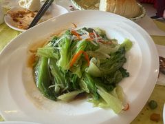 白灼罗马生菜-同和居(月坛店)