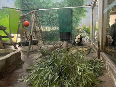 -柳州市动物园