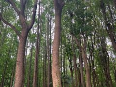 -黄兴公园