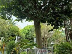 -广州神农草堂中医药博物馆