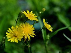 -桂林资江天门山风景区