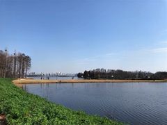 -金银湖国家城市湿地公园