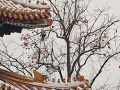 -雍和宫