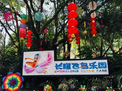 -广州长隆飞鸟乐园