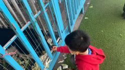 -小蜜蜂农场(凯德七宝购物广场店)