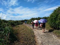 -龙坑生态保护区