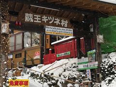 -宫城藏王狐狸村