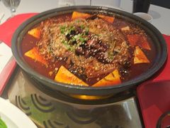 -眉州东坡(望京店)