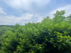 -萨尔浒风景区