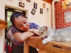 -猫小院猫主题餐厅(南锣旗舰店)