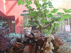 -二酉书店TOYOU BOOKS