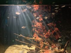 -常州海昌海洋探索馆