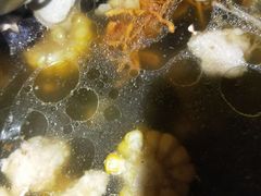 -探窝·竹笙椰子鸡(杨箕店)