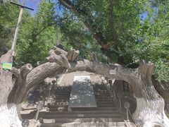-水磨沟公园