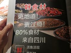 -雲蜀龙阁·金牌水煮鱼(方庄店)