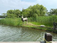 -溱湖国家湿地公园