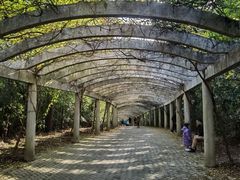 -上海海湾国家森林公园