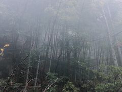 -东天目山风景区