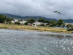 -青海湖二郎剑景区