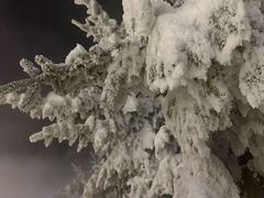 -汉拿山温泉度假酒店