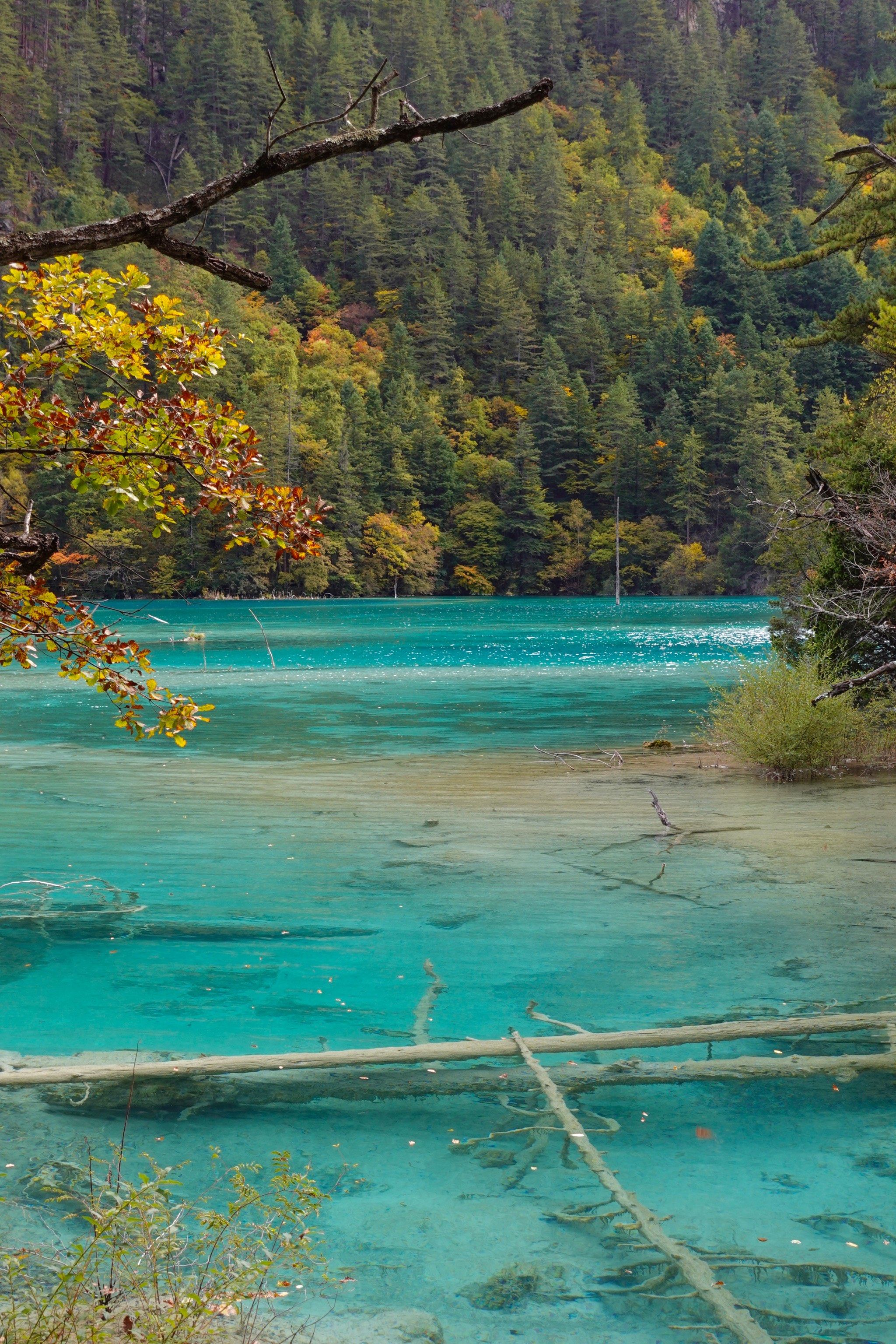 有着海岛一般的玻璃海——双龙海