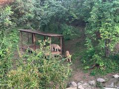 -石家庄市动物园