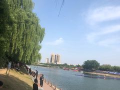 -沙澧河风景区