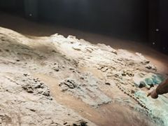 -世界恐龙谷景区