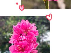 -桃花涧