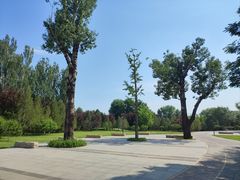 -北坞公园